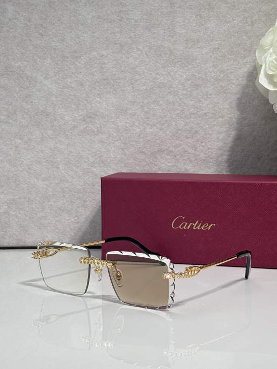 Picture of Cartier Sunglasses _SKUfw80238824fw